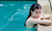 Alexandra Daddario #1707 picture (Landscape Small)