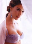 Gal Gadot #630 picture (Portrait Small)