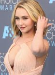 Hayden Panettiere #25833 picture (Portrait Small)