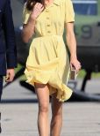 Kate Middleton #2675526 picture (Portrait Small)