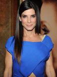 Sandra Bullock #25096 picture (Portrait Small)