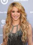 Shakira #200682 picture (Portrait Small)