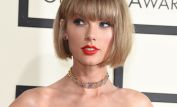 Taylor Swift #97983 picture (Landscape Small)